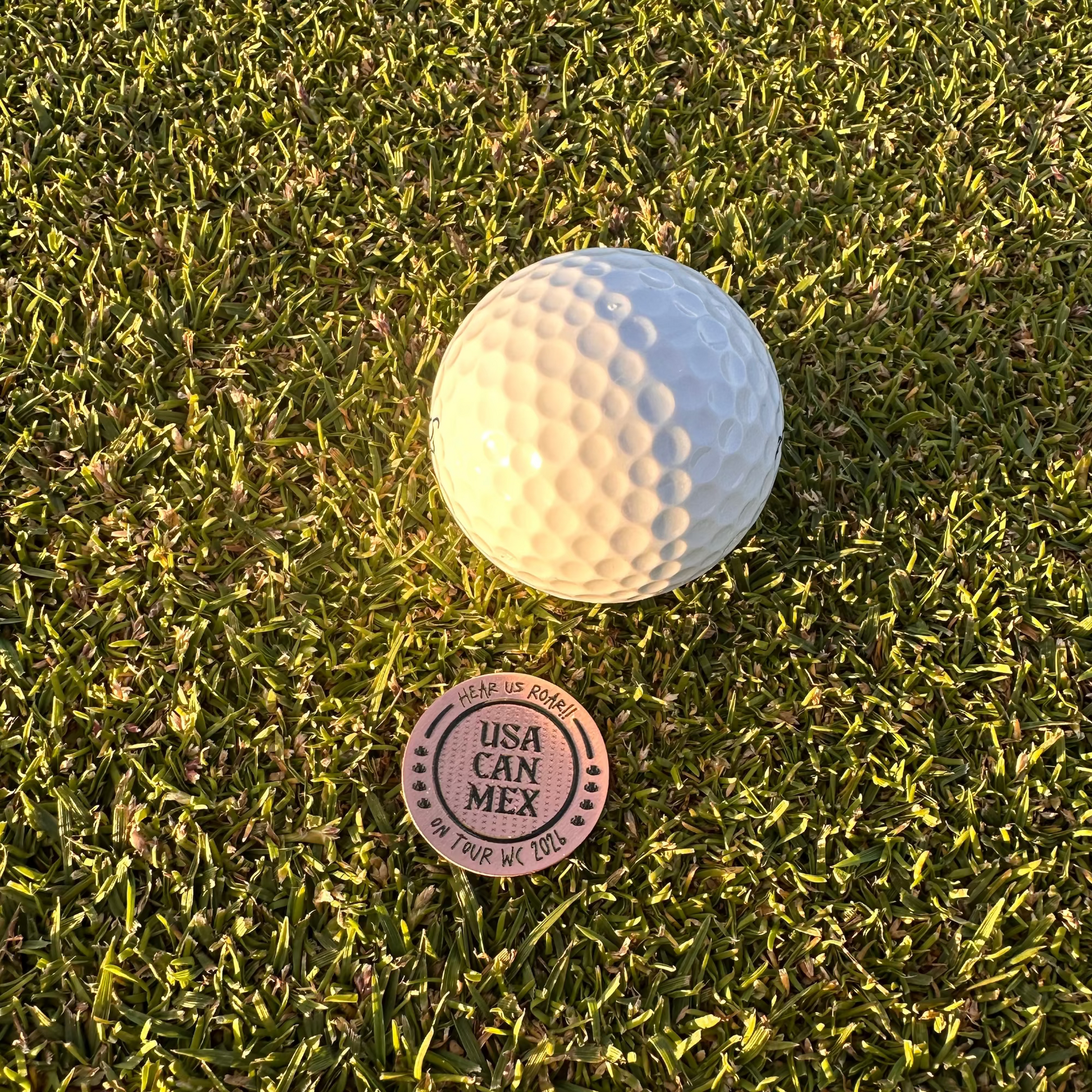 Golf ball on grass with a Scotland ball marker in front