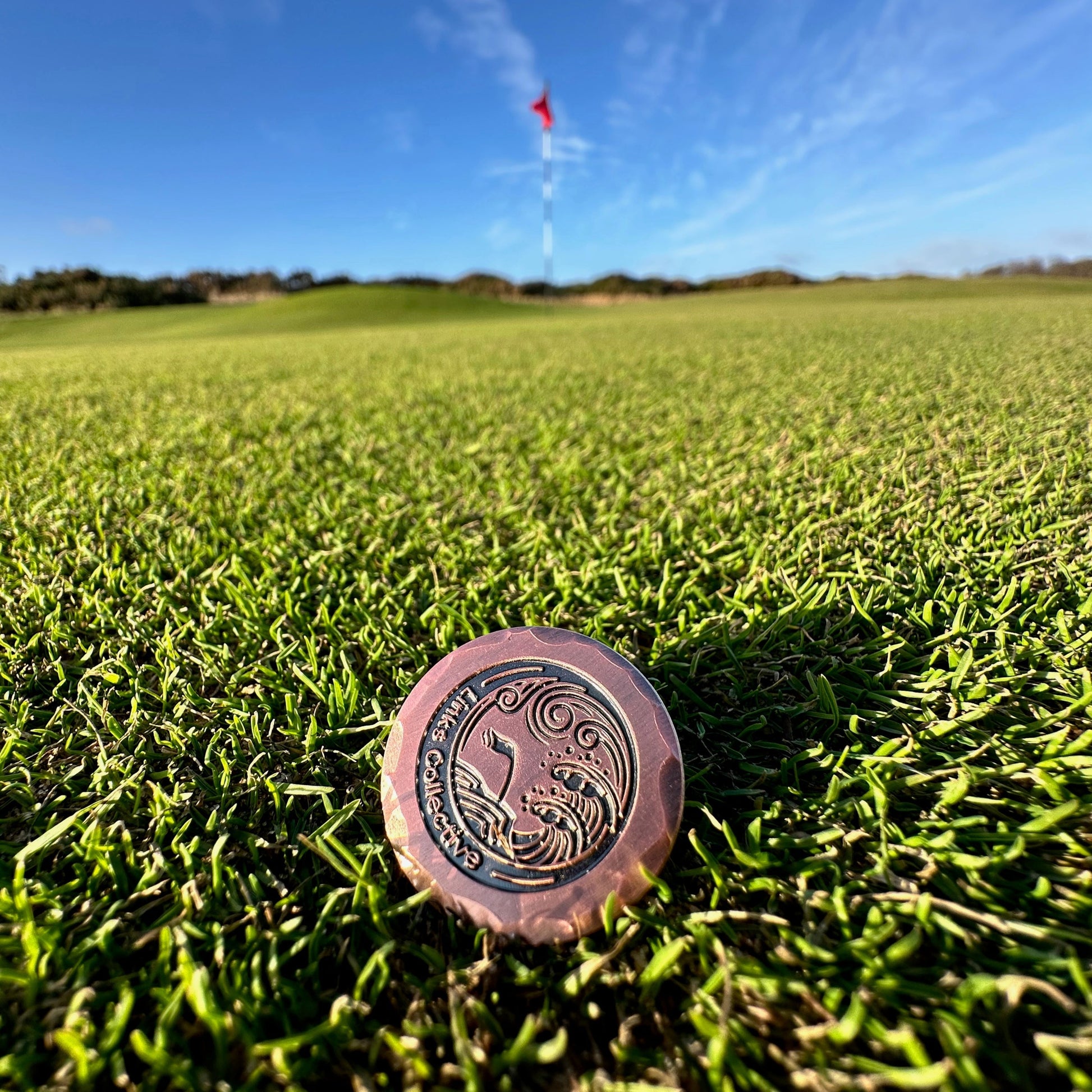 Golfer's point of view looking at a ball marker with the green and flag ahead.